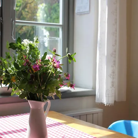 In Mit Garten, Cleaning Included Appartement Steffenshagen