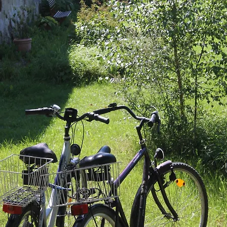 In Mit Garten, Cleaning Included Steffenshagen